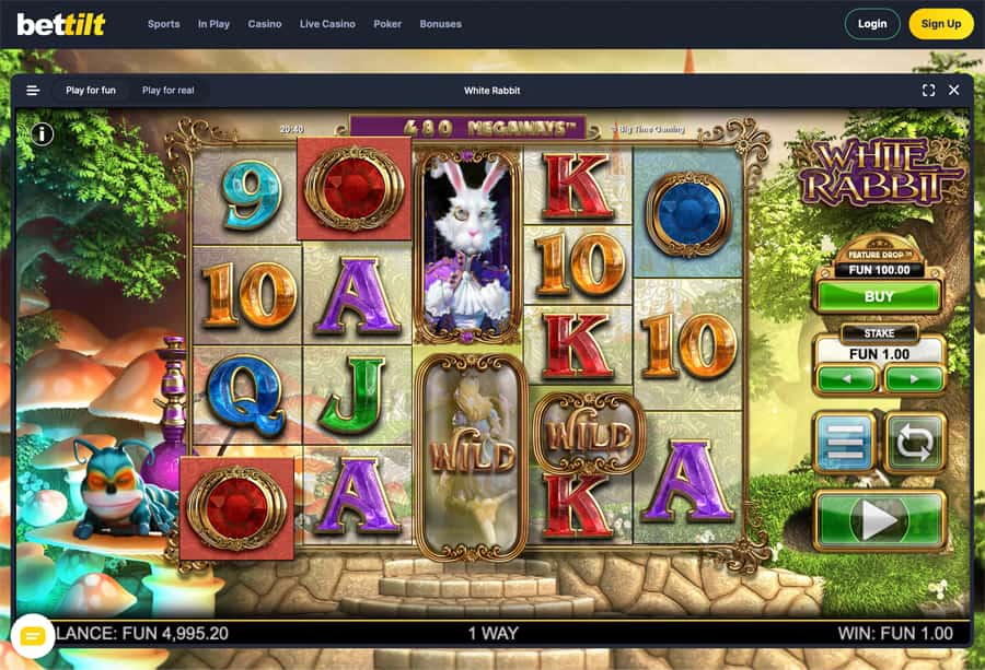 slot bettilt slot bettilt
