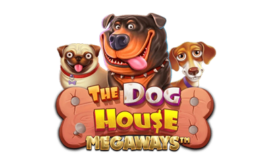 A questo software si devono innovazioni come Reel’em e il lancio di bonus multi-gettone e linee di pagamento extra.