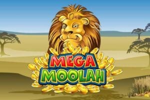 Ricordiamo che nei giochi di slot progressive, i jackpot sono alimentati da una piccola parte di ogni scommessa effettuata, accumulandosi nei premi in palio. Questo implica che il payout di queste macchine è generalmente inferiore rispetto a quelle senza tale funzione. In questa specifica macchina, l’ <strong>RTP è significativamente basso</strong> , appena l'88,12%, ma ciò non ha diminuito la sua popolarità.