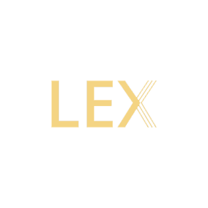 Casinò consigliato per il Bingo 🎱 logo circle betlive